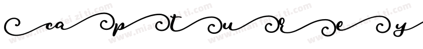 Capture your heart at 01 sight字体转换